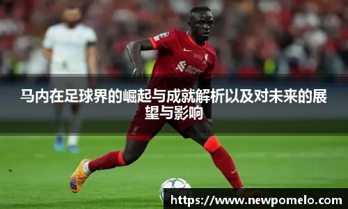 mk体育