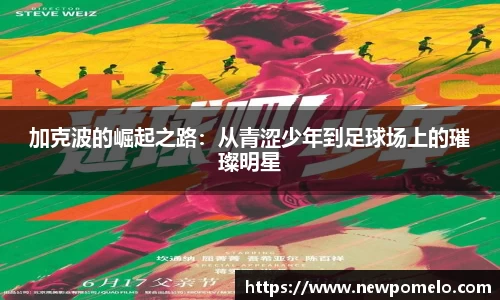 MK体育股份公司