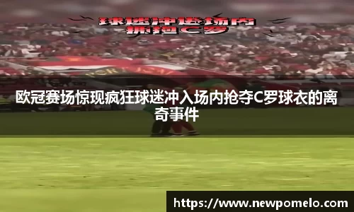 mk体育